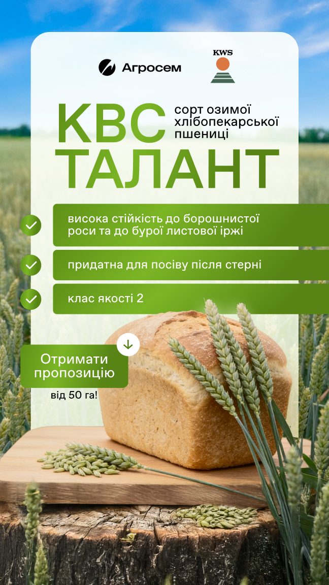 agrosem kws talant