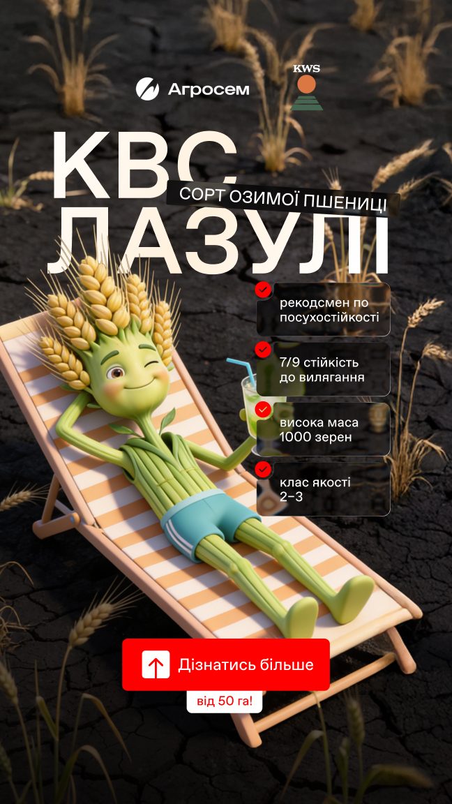 agrosem kws lazuli